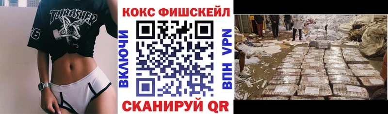 сколько стоит  Советская Гавань  Cocaine Fish Scale 
