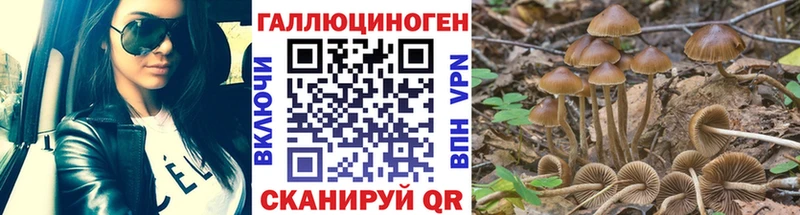 Галлюциногенные грибы GOLDEN TEACHER  Советская Гавань 